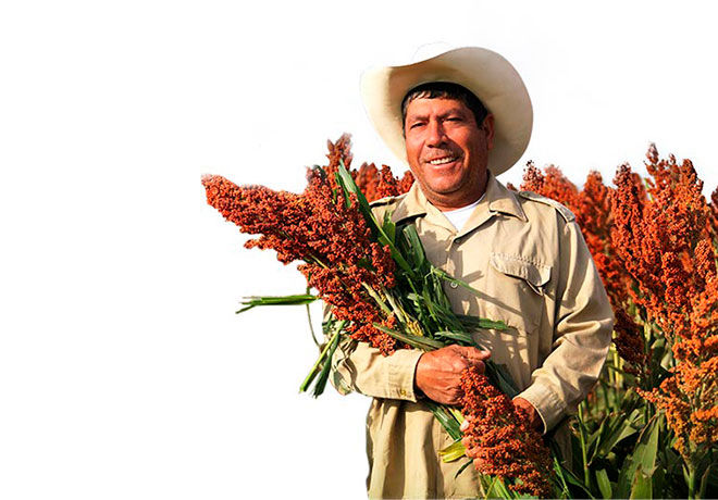 MINT foto agricultor